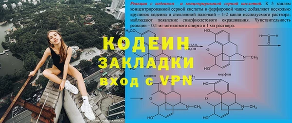 молекула духа Михайлов