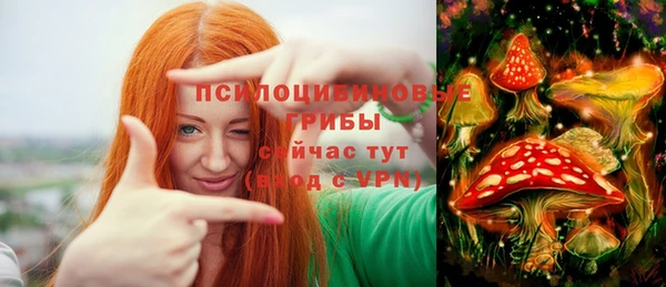 mdpv Горнозаводск