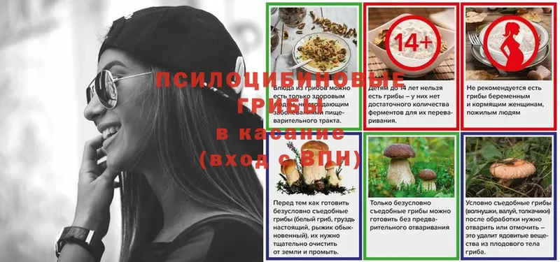 хочу   Давлеканово  Галлюциногенные грибы мицелий 